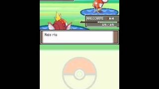 Magicarpe vs Magicarpe [upl. by Oned]