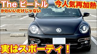 【中古車高騰中！】フォルクスワーゲンビートルが人気再加熱かわいいけど実はスポーティ！VOLKSWAGEN BEETLE [upl. by Hedley]