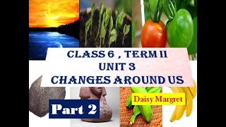 6th Std Term 2 UNIT 3CHANGES AROUND US  Part 2  Samacheer syllabus  Splendiferous Science [upl. by Olia]