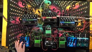 Bastle Bestie 💈Feedback Loop 💈 Strymon Cloudburst 🐋 [upl. by Niraa]