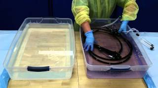 Flexible Endoscope Reprocessing  Disinfection [upl. by Trueblood]