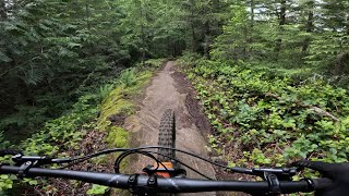 Have We All Been Overbiking Dialing In The Transition Spur [upl. by Kaitlin531]