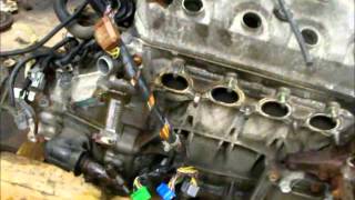 Honda Civic D16Y7 to D16Y8 tutorial part 1 [upl. by Gnilrad64]