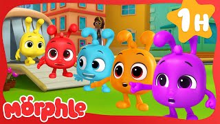 Morphles Best Multi Color Clones🌈 Cartoons amp Videos for Kids  Mila and Morphle [upl. by Kery562]