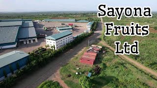 SAYONA FRUITS LTD  TANZANIA [upl. by Leirbaj685]