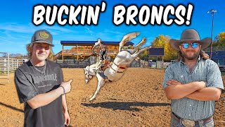 The CREEKBEND BOYZ BUCK PRO RODEO BRONCS [upl. by Yrtnahc]