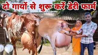 दो गायों से शुरू करें डेरी फार्म  dailyvlogs vlogsvideo gopiarchnavlogs [upl. by Assener]