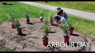 Arbour Day 2019 [upl. by Hulbert725]