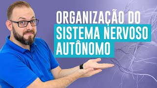 Aula de Farmacologia  Organização do sistema nervoso autônomo  Prof José  Farmacologia Fácil [upl. by Bound]