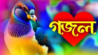 Bangla Gojol New Bangla Gazal Ghazal Gojol Islamic Gazal Ramzan Gojol Bangla New Gazal 2024 [upl. by Acisse690]