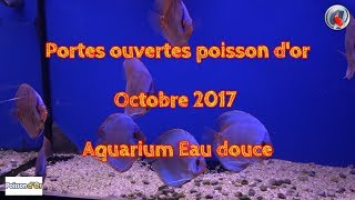 Portes ouvertes Octobre 2017 aquarium Eau douce [upl. by Annaigroeg]