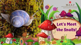 Lets Learn About Snails  online preschool educational video for kids [upl. by Hinkle761]