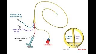 Proper Insertion and Use of a Pulmonary Artery Catheter  BAVLS [upl. by Yahsan]