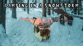 Winter Camping in a Snowstorm with My Dog [upl. by Tnias]