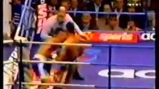 prince naseem hamed highlights [upl. by Nnyleak971]