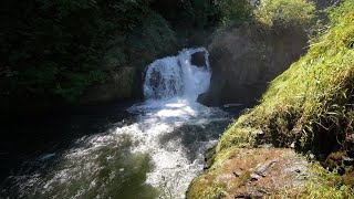 Brewery Park at Tumwater Falls [upl. by Atteiluj]