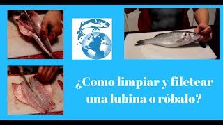 ¿Como limpiar filetear y desespinar una lubina o róbalo [upl. by Anoek]