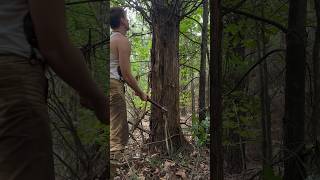 Can a Trench Mace cut through a Tree trench trenchmace bf1 ww1 logger logcabin cabin axe [upl. by Innavoig]