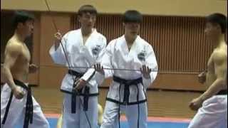 Niesamowity pokaz sztuki walki Taekwondo [upl. by Doe]