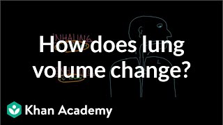 How does lung volume change  Respiratory system physiology  NCLEXRN  Khan Academy [upl. by Aneeram]