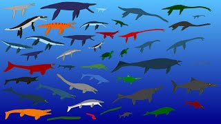 44 Largest Extinct Reptiles  Size Comparison  Plesiosaurs Pliosaurs Ichtyosaurs Mosasaurs [upl. by Animlehliw32]