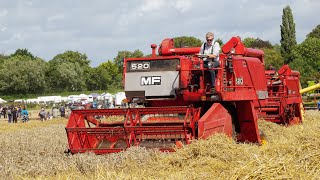 Massey Ferguson MF 520 combines [upl. by Ajax]