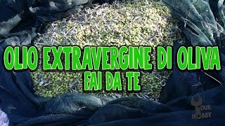 OLIO EXTRAVERGINE DI OLIVA FAI DA TE [upl. by Hinkel]