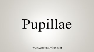 How To Say Pupillae [upl. by Anilet]