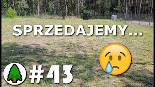 SPRZEDAJEMY DZIAŁKĘ  Działka w lesie🌲  Odcinek 43 [upl. by Ansela]