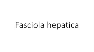 Fasciola hepatica  Parasitology [upl. by Romaine693]