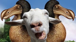 Goat MMO Simulator 1  DODO ABOMINATION [upl. by Leima792]