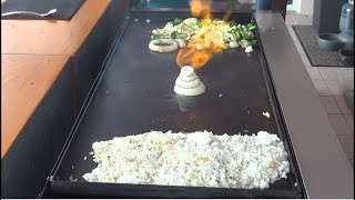 Hibachi Teppanyaki Griddle Top Cooking on a Outdoor Griddle Top [upl. by Shanley635]