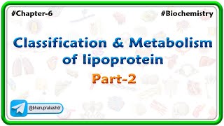 Chapter 6  Lipids  Classification amp Metabolism Of lipoprotein Part 6  Hindi [upl. by Atelra]