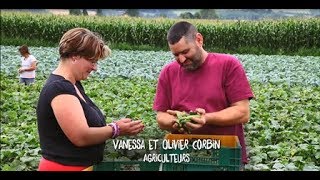 Cornichons Français Episode 1  Rencontre avec les hommes et femmes de la filière [upl. by Inalial]