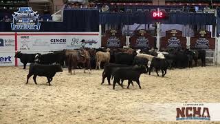 This Kid Can RIDE 8YearOld Competes at NCHA Futurity Unlimited Amateur full run [upl. by Epolulot]