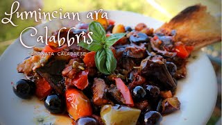 CAPONATA CALABRESE Lumincian ara Calabbrìs  Ricetta Facile [upl. by Ettenawtna]