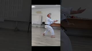 Jiin Kata Performed by Colin Holmes shorts [upl. by Armilla]