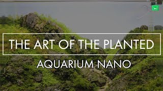 THE ART OF THE PLANTED AQUARIUM NANO Teil 12  Messe Magdeburg  GarnelenTv [upl. by Nugesulo]