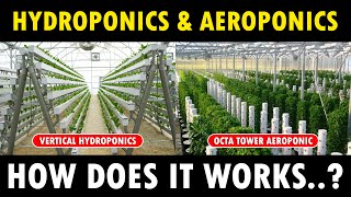 Hydroponic Farming Systems and Aeroponic Farming Systems [upl. by Narod417]