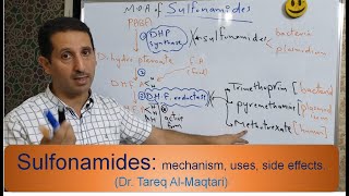 Antibiotics  11  Sulfonamides mechanism uses side effects [upl. by Nibot]