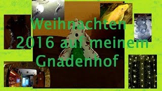 Weihnachten 2016 auf meinem Gnadenhof [upl. by Araeic]