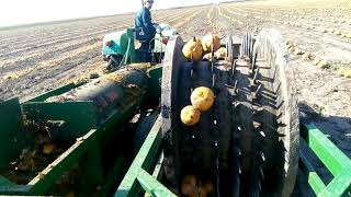 pumpkin seed harvester Kombajn za buč tökkombajn kombajn za bundevu [upl. by Edna560]