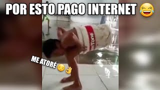 Los Mejores VIDEO MEMES RANDOM DE INTERNET 15 Si Te Ries Pierdes Try Not To Laugh Funny Memes [upl. by Tnilc]