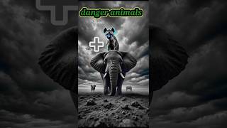 Danger animalsai animals loinie [upl. by Arrec829]