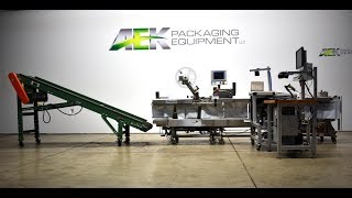 Used Automated Packaging Systems Model FAS Sprint Revolution Bagger  Stock  71857001 [upl. by Kubis]