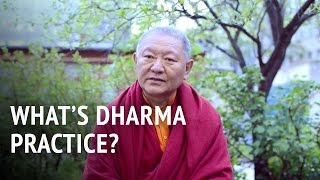 What is Dharma Practice  Ringu Tulku [upl. by Namie]