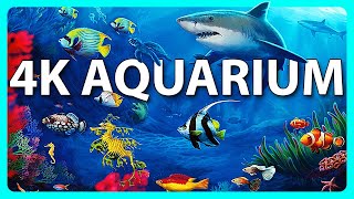 The Best 4K Aquarium for Relaxation 🐠 Relaxing Oceanscapes  Sleep Meditation 4K UHD Screensaver [upl. by Aidnyc]