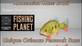 Unique Orinoco Peacock Bass  Amazonian Maze Brazil  Fishing Planet Guide [upl. by Areemas]