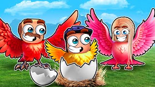 Jeffy Has a BIRD FAMILY in Roblox [upl. by Nanyk]