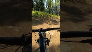 Trek Roscoe 8  Suspension Testing [upl. by Labaw446]